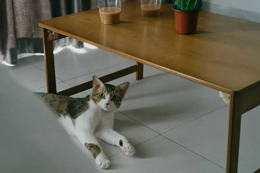 Your Wooden Furniture Legs Look Like Miniature Trees (Image Credits: Unsplash)