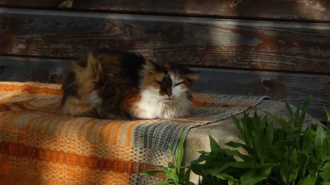 Suddenly Switching Spots: When Change Means Something (Image Credits: Unsplash)