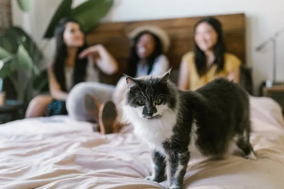 4. They Are Hardwired for Social Connection (Image Credits: Pexels)