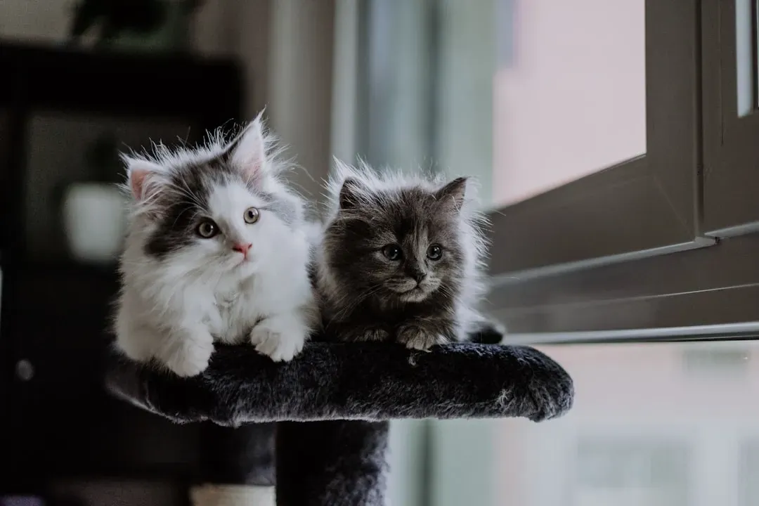 #9 - Other Pets or Animals That Shared the Home (Image Credits: Unsplash)