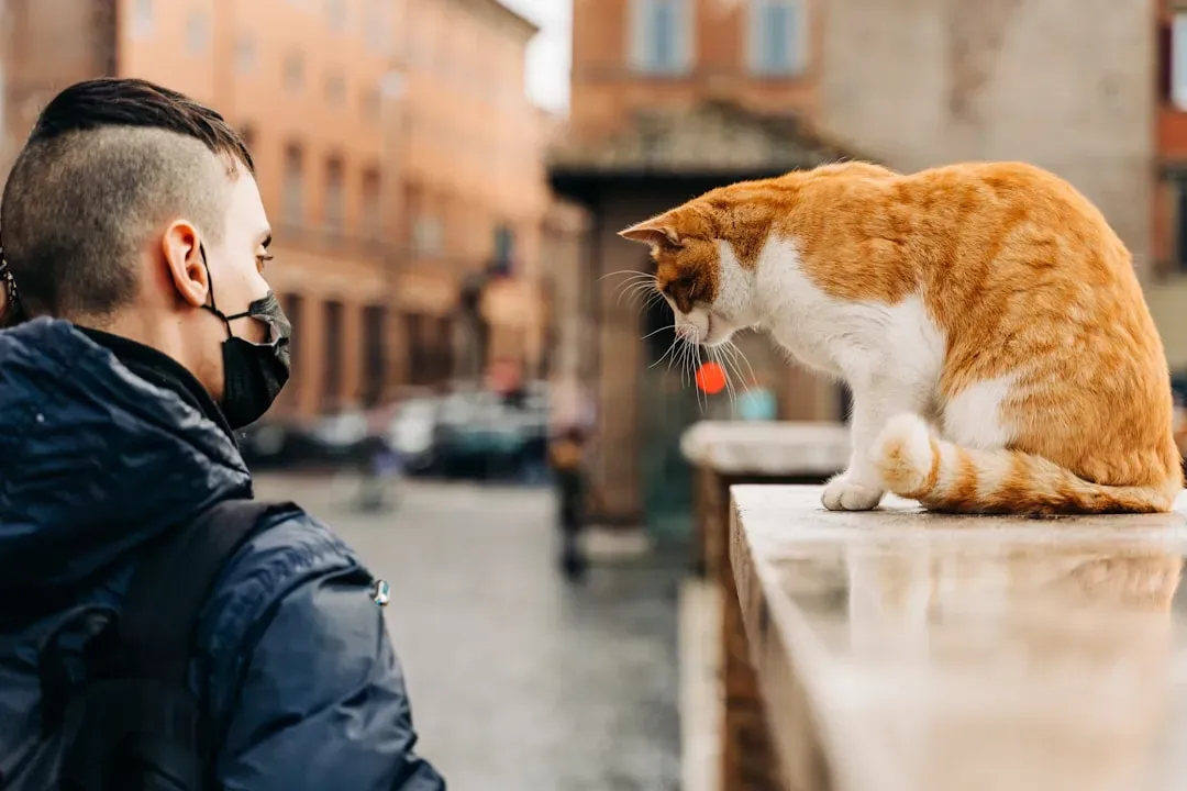 Your Cat Recognizes Your Voice Out of a Crowd (Image Credits: Unsplash)