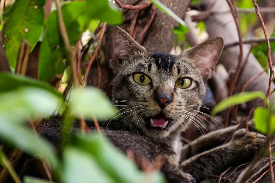 Silver Vine: The Catnip Alternative You Should Know About (Image Credits: Pexels)
