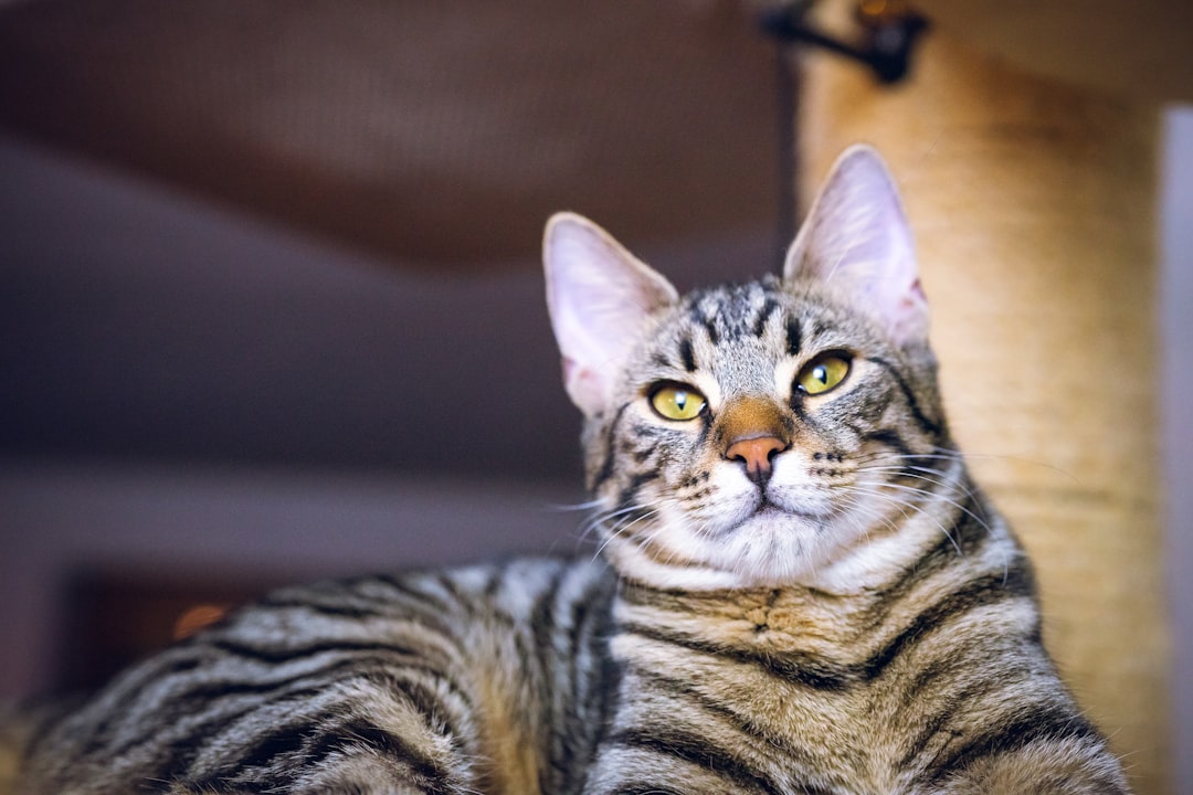 The Bigger Picture: Why This Matters (Image Credits: Unsplash)