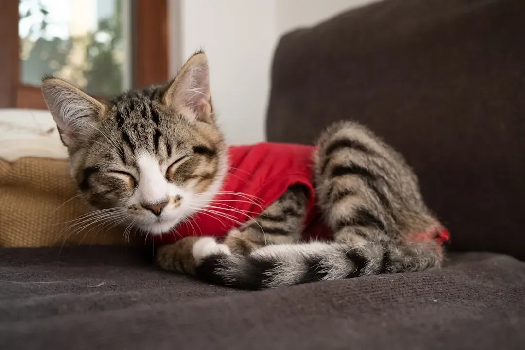 #7 Sleeping on personal belongings (Image Credits: Unsplash)