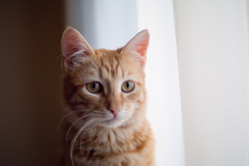 Graceful Adaptation to Change (Image Credits: Flickr)