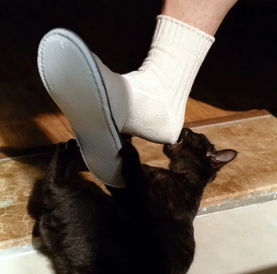 9. The Sudden “Attack” on Your Moving Feet (Image Credits: Unsplash)