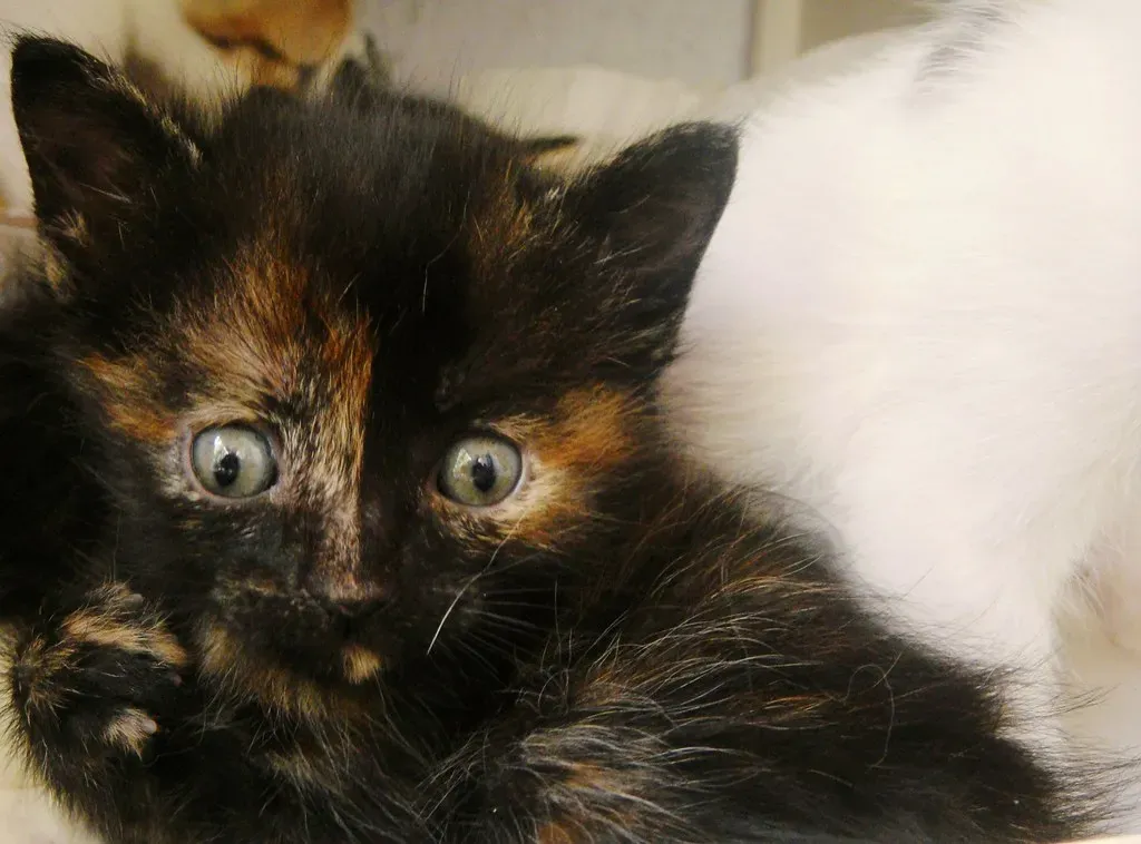 What to Avoid: When Not to Engage (Image Credits: Flickr)