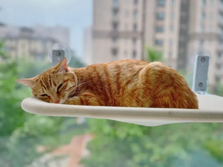 The High Ground Obsession Is Deeply Intentional (Image Credits: Pexels)