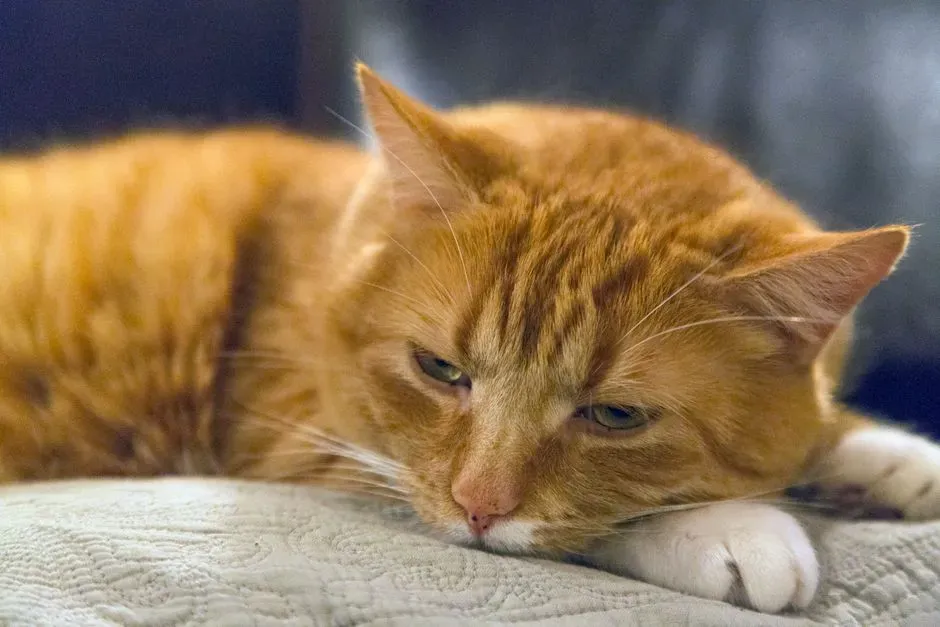 #3 - Family Members Who Moved Out or Passed Away (Image Credits: Pexels)