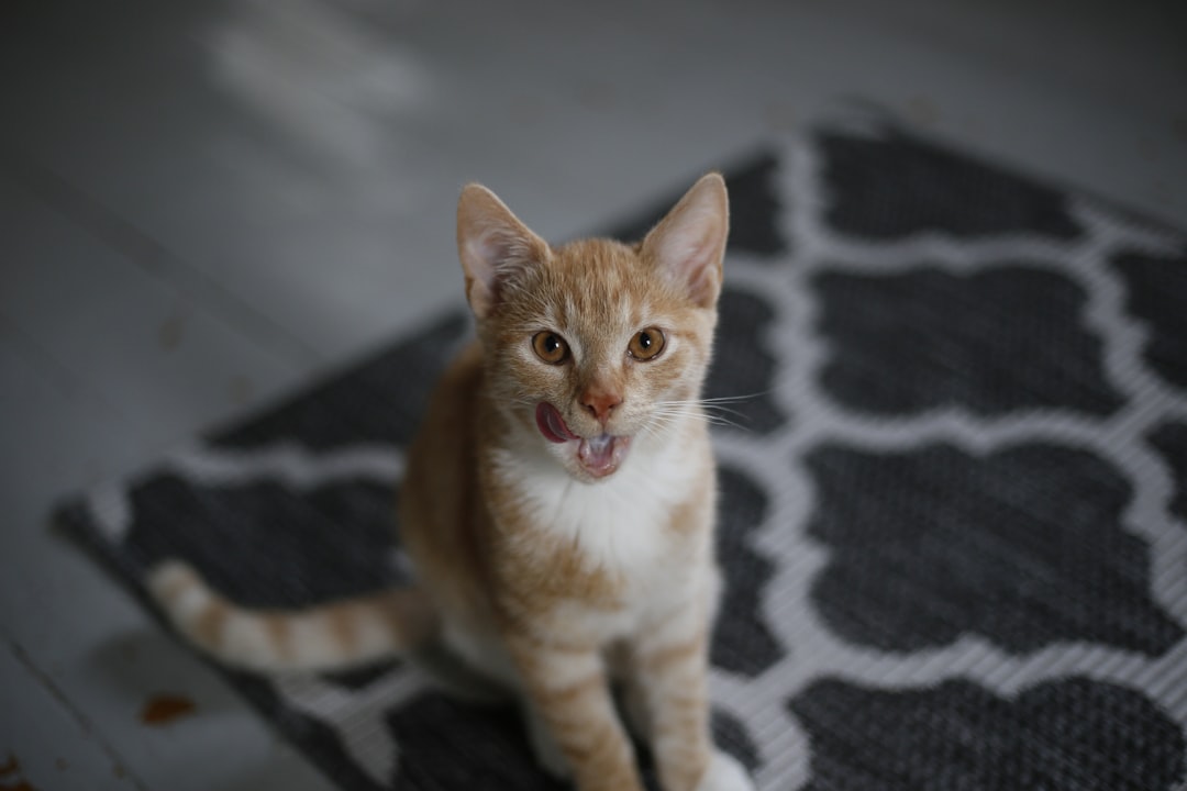 Conclusion (Image Credits: Unsplash)