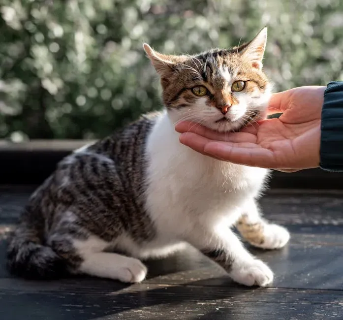 Keeping Sessions Short: The Art of Leaving Them Wanting More (Image Credits: Pexels)