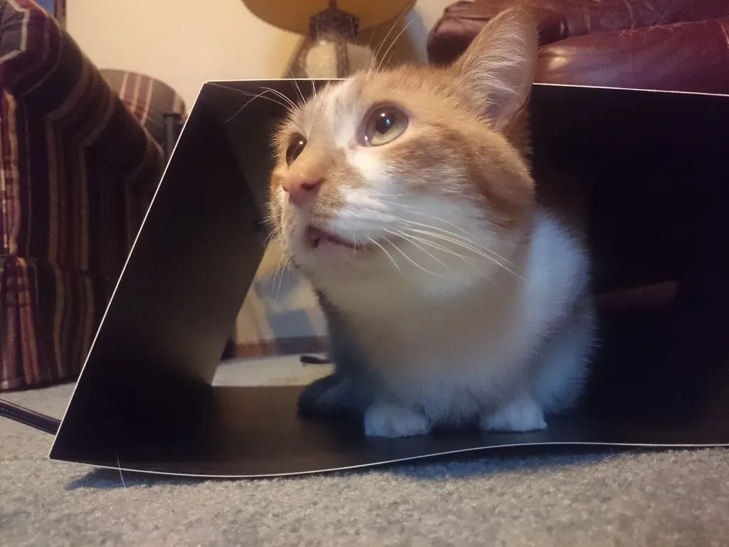 Curiosity and Mental Stimulation: A Box Is Uncharted Territory (rsaxvc, Flickr, CC BY-SA 2.0)