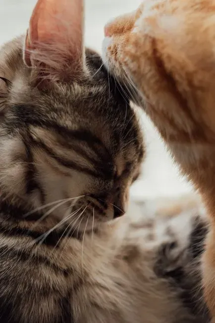#16 - The Head-Bunt Chirp (Image Credits: Pexels)