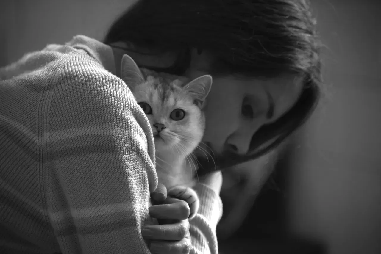 #8 - Bunting Doubles as Cat-to-Cat Etiquette (Image Credits: Pixabay)