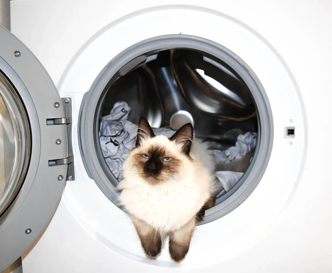 10. The Washing Machine and Dryer (Image Credits: Pixabay)