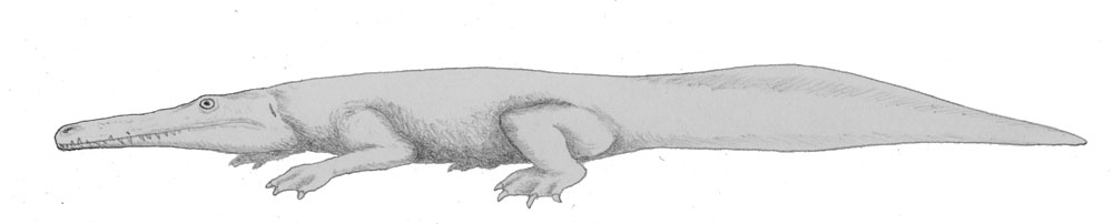 Why Size Mattered in Ancient Ecosystems (Image Credits: Wikimedia)