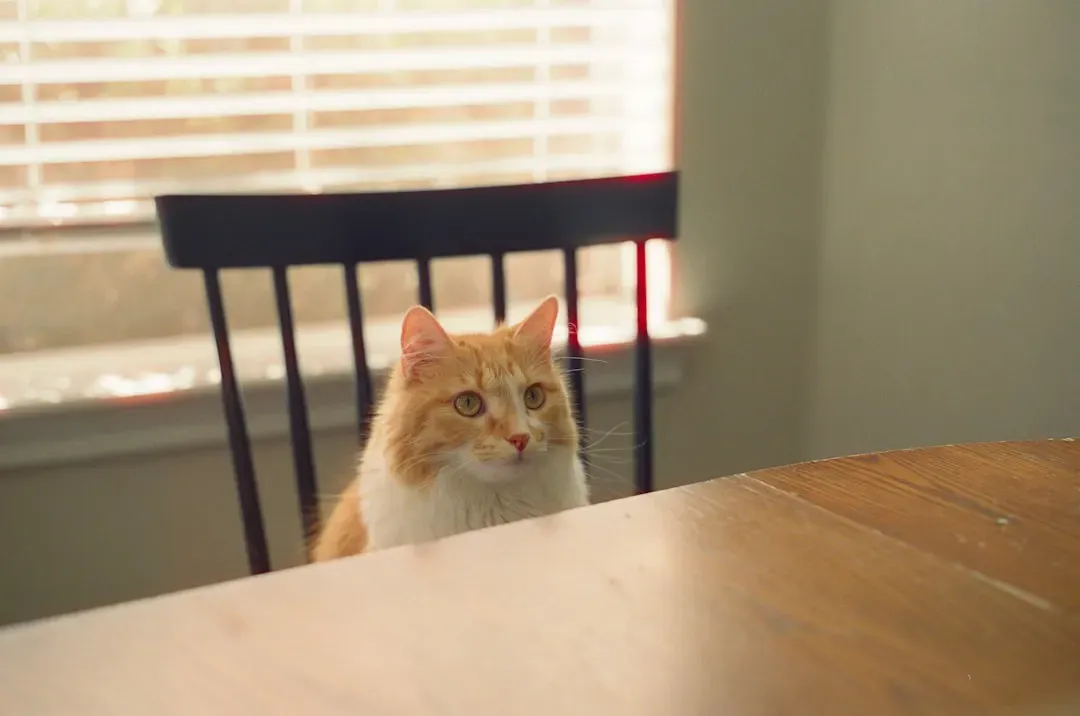 You Accidentally Trained Them to Do This (Image Credits: Unsplash)