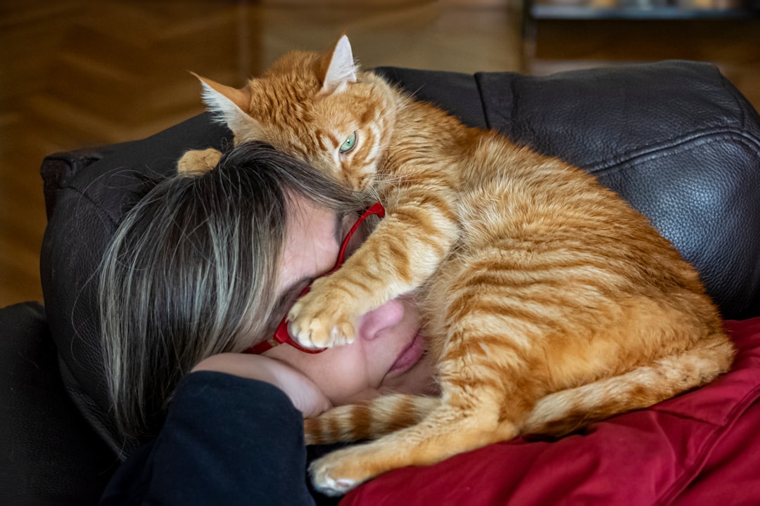 Times You Comforted Them During Fear or Pain (Image Credits: Unsplash)