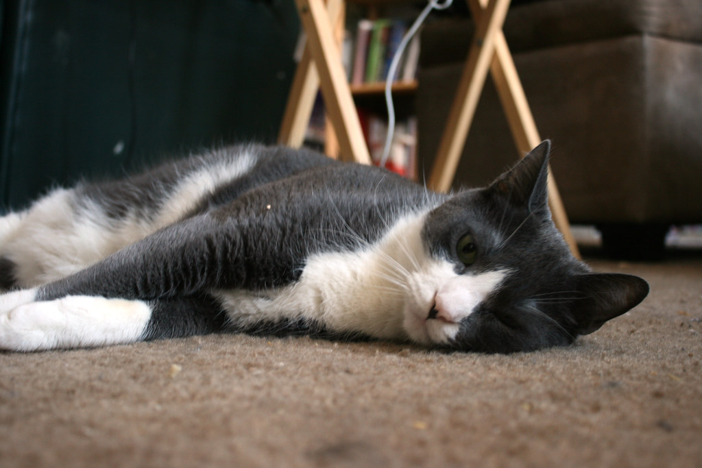 What Temperature is Actually Dangerous (Image Credits: Flickr)