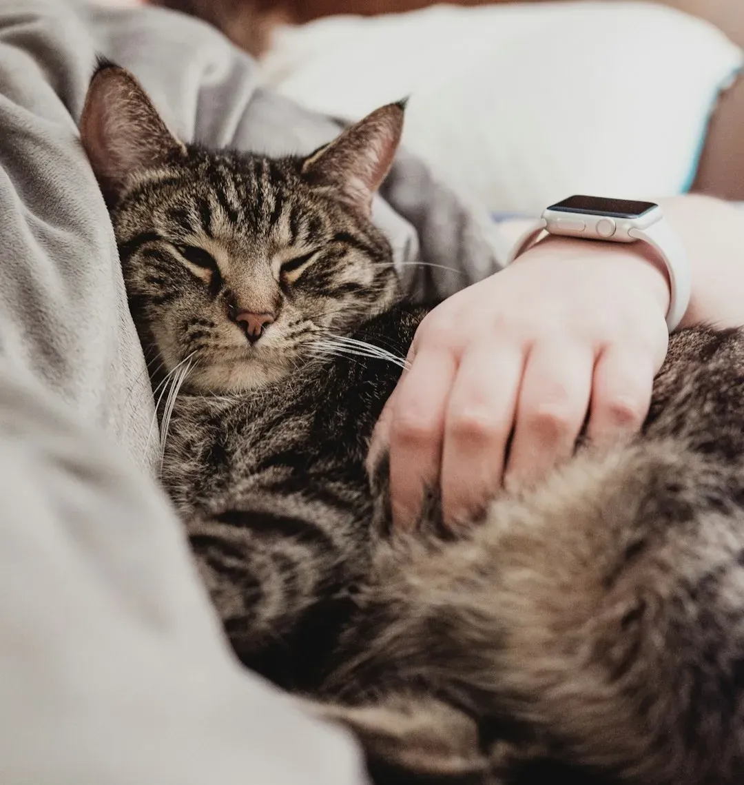#2 - Contact Sleeping, Pressed Right Against You (Image Credits: Unsplash)