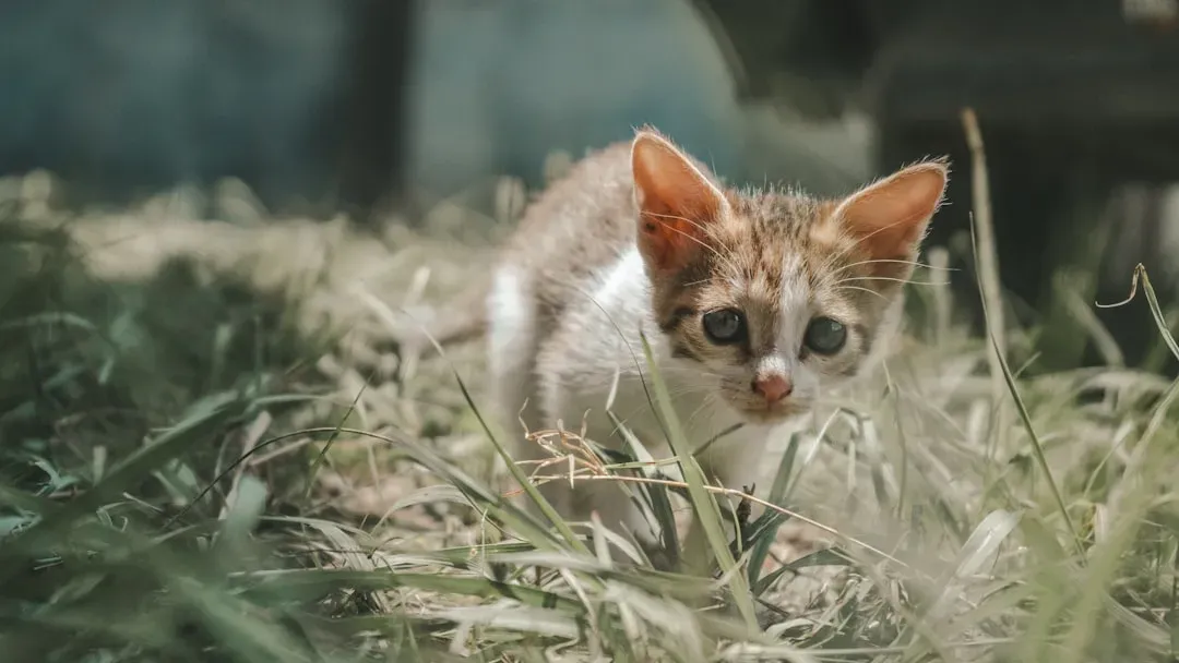 Your Children May Develop Stronger Immune Systems (Image Credits: Unsplash)