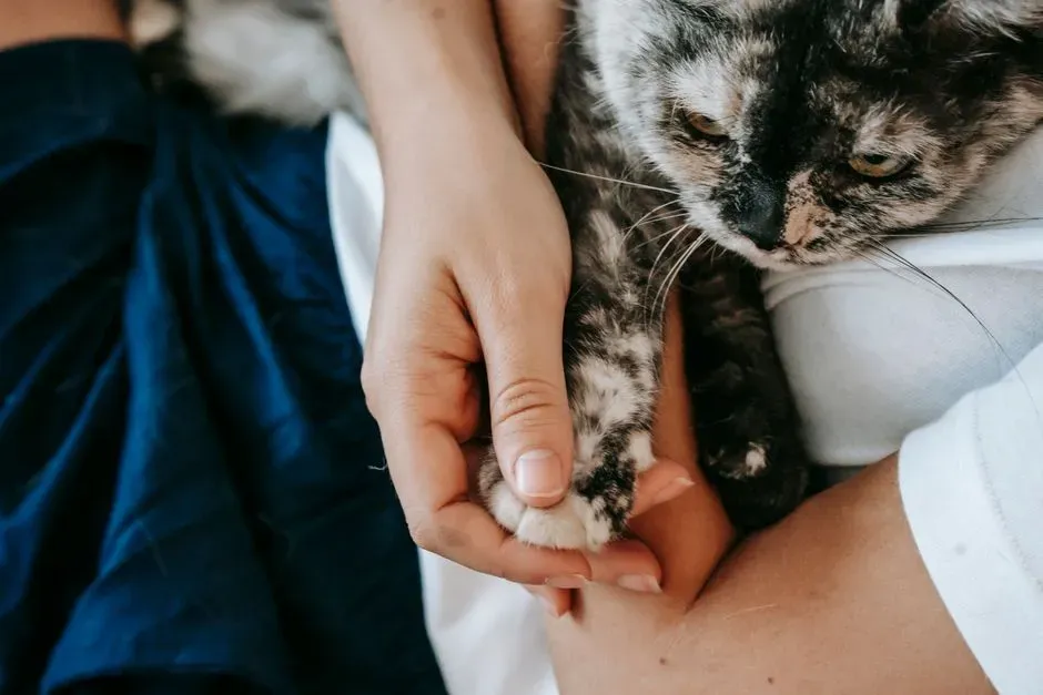The Bottom Line (Image Credits: Pexels)