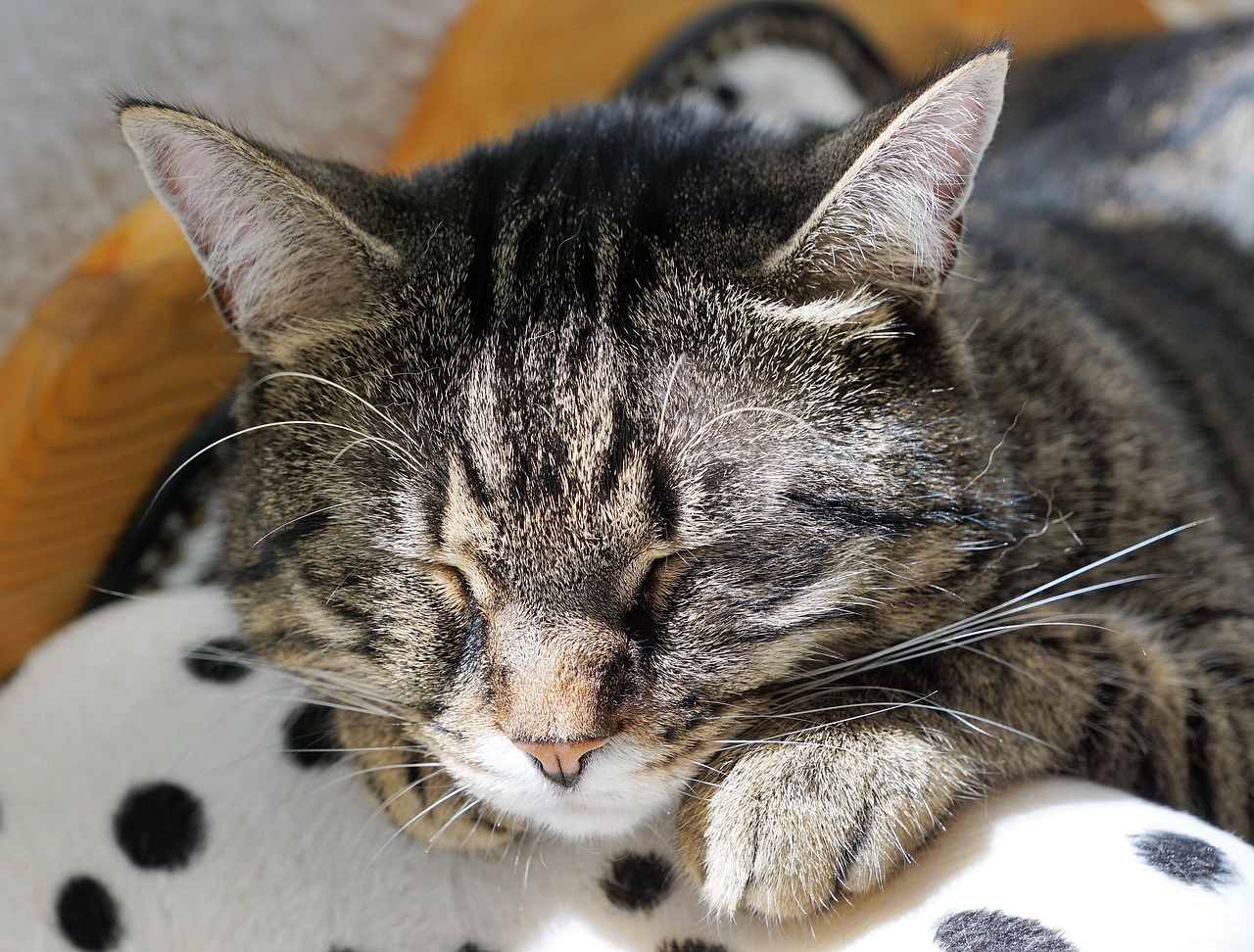 Conclusion (Image Credits: Pixabay)