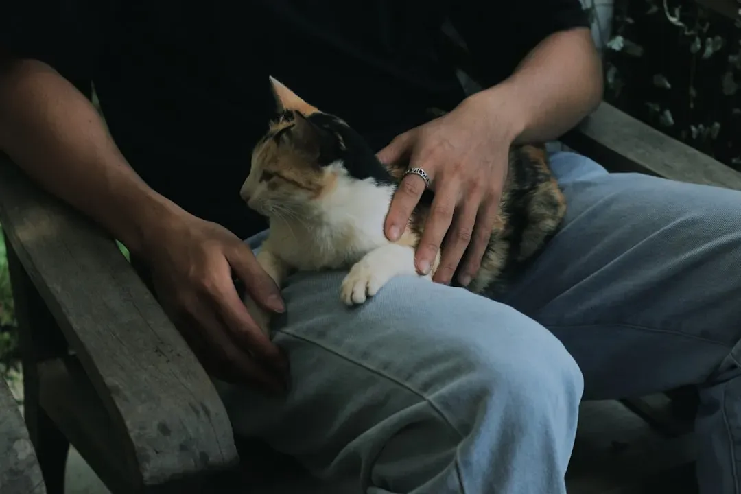 Purring in Your Presence: The Sound of Contentment (Image Credits: Unsplash)