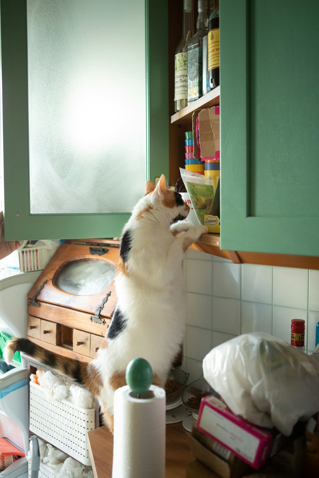 Food Guarding and Resource Competition (Image Credits: Unsplash)