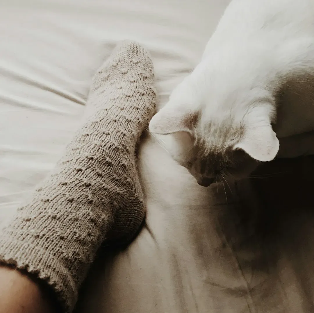 6. Old Socks: The Comfort Item You Never Expected (Image Credits: Unsplash)
