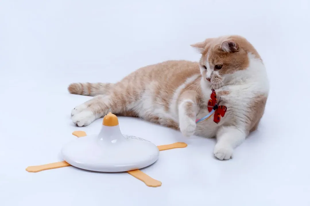 6. Interactive Toys for Mental and Physical Stimulation (Image Credits: Unsplash)