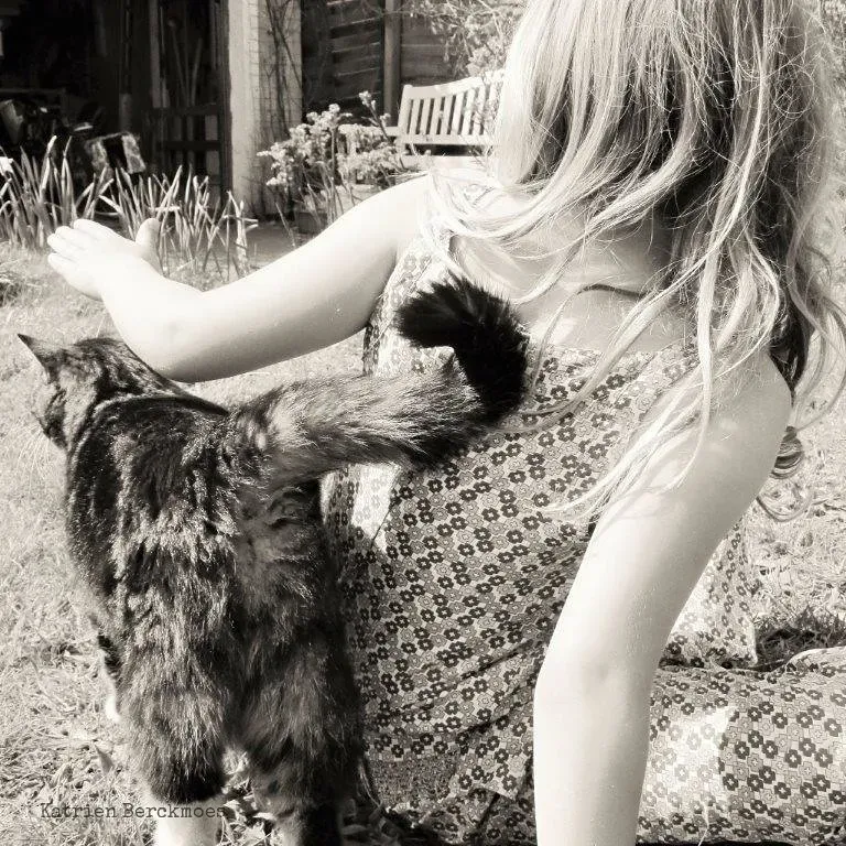 The Affectionate Tail Wrap (Image Credits: Flickr)