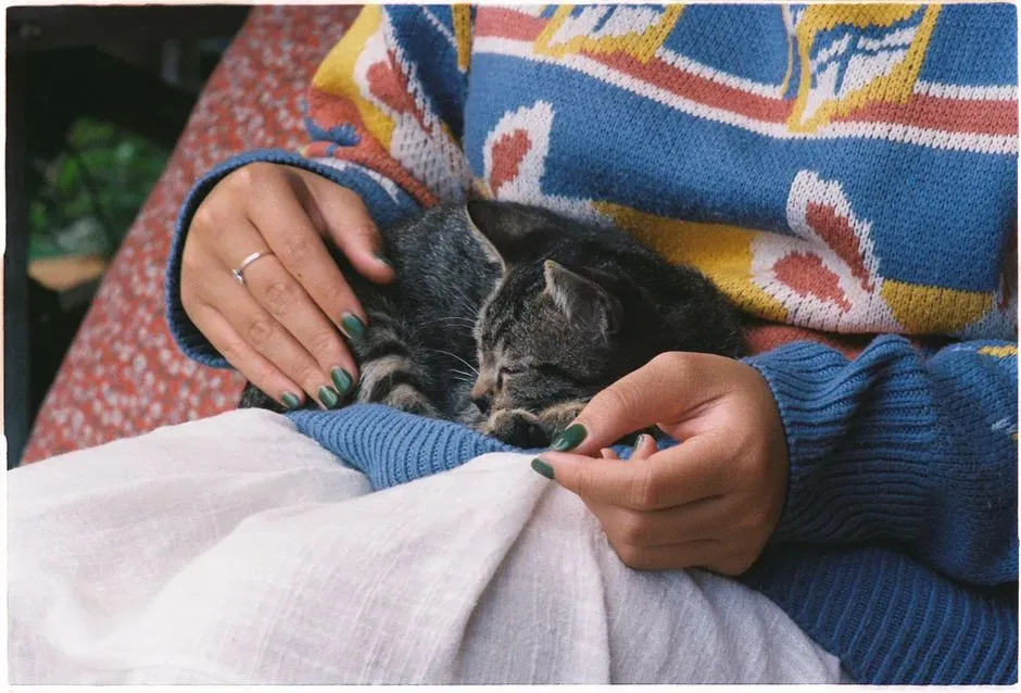 #9 - Sleeping on You Is the Riskiest Nap They'll Ever Take (Image Credits: Pexels)