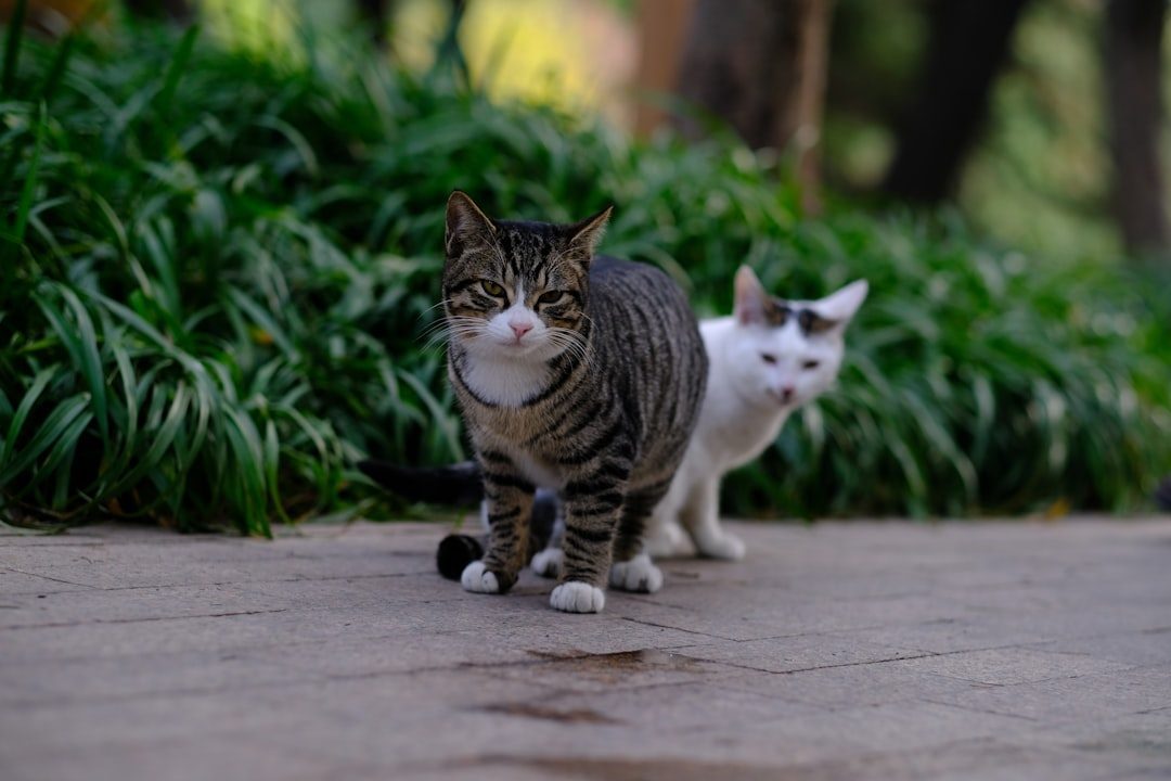 7. Walking Ahead and Controlling Movement (Image Credits: Unsplash)