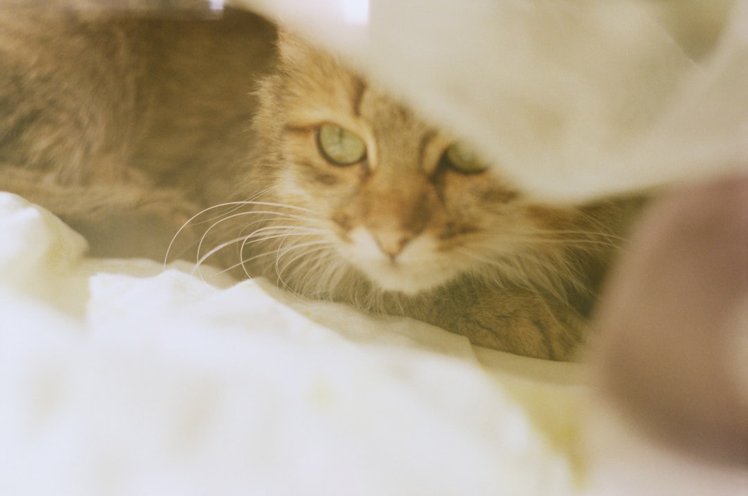 Conclusion (Image Credits: Unsplash)