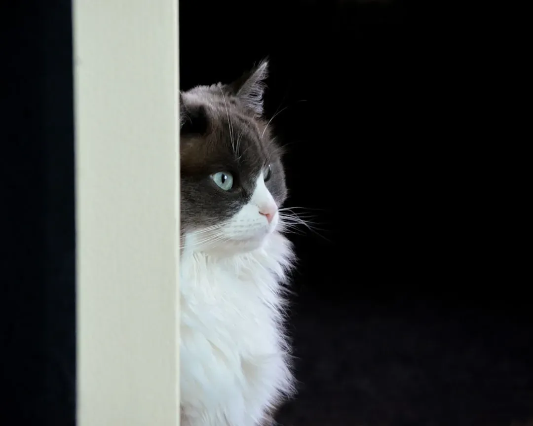 They Greet You at the Door Like a Dog (Image Credits: Unsplash)