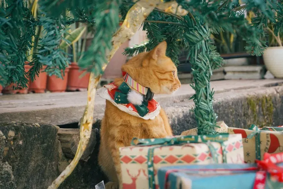 #5 - The "Gifts" Are Actually a Compliment (Image Credits: Pexels)