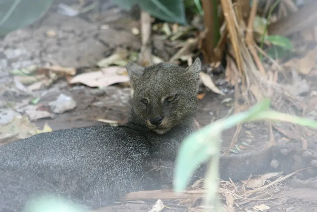 Conclusion (Image Credits: Flickr)