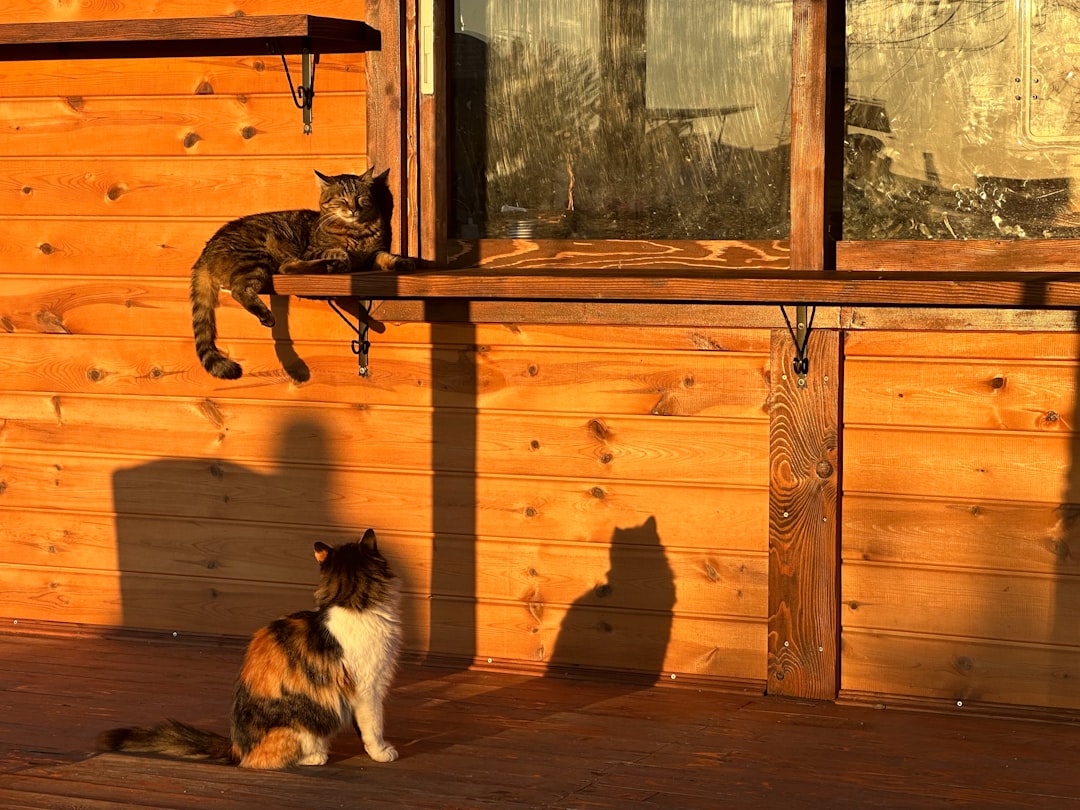 Supervise the First Face-to-Face Meetings (Image Credits: Unsplash)