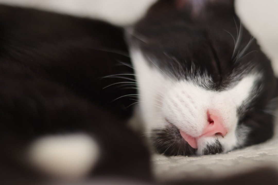 Snoring and Heavy Breathing (Image Credits: Unsplash)