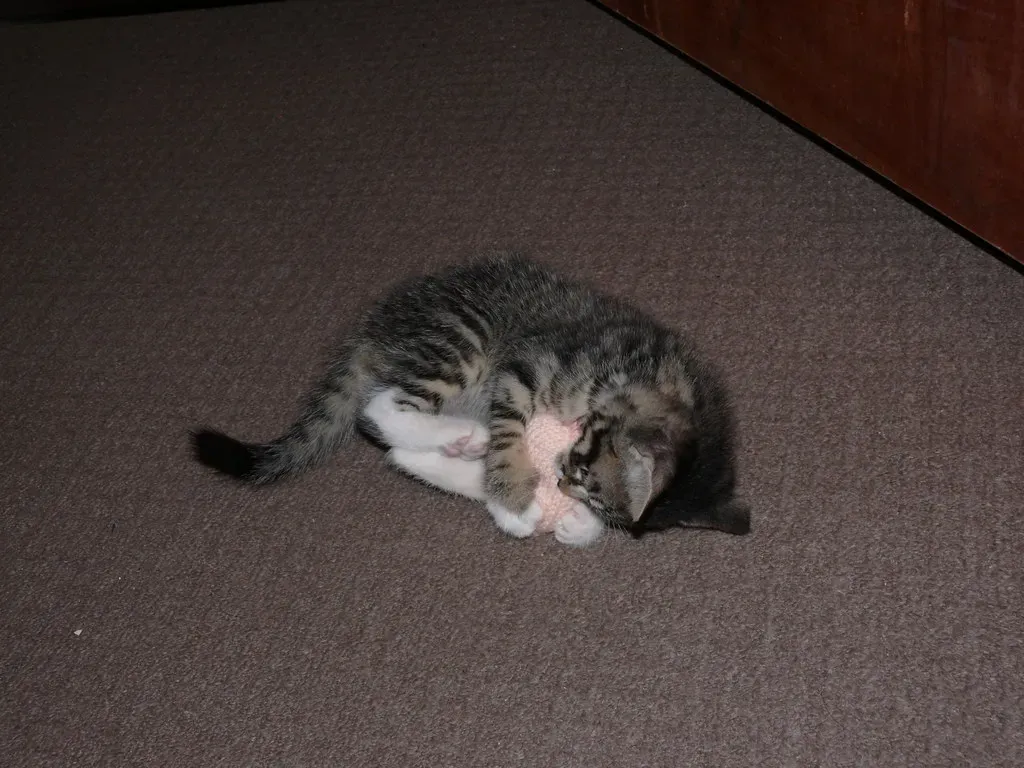 The Profound Mental Health Benefits of Play (Image Credits: Flickr)