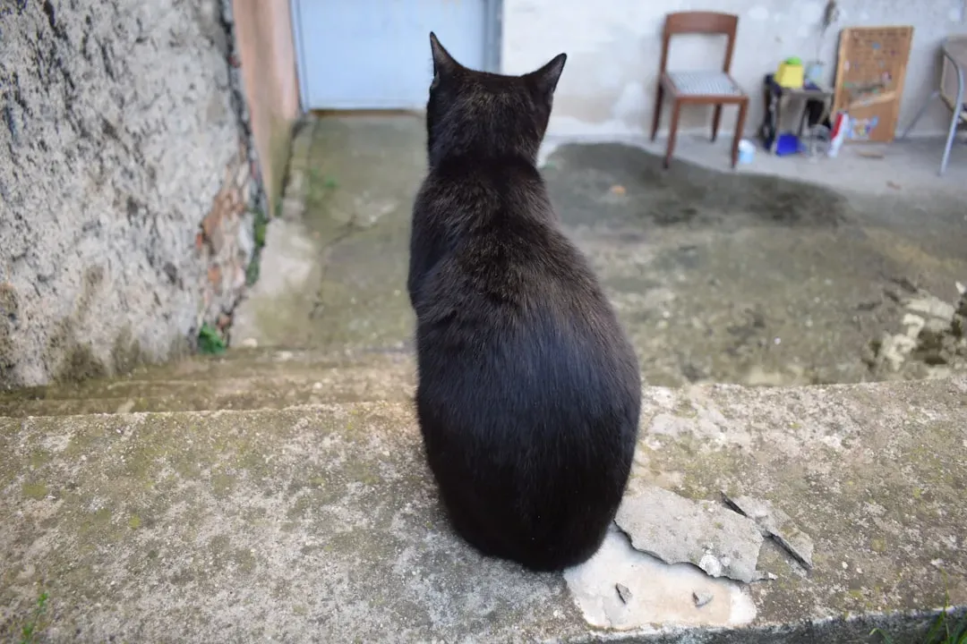 The Context Changes Everything (Image Credits: Unsplash)