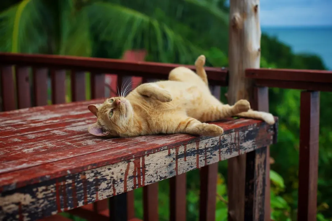 A Totally Relaxed Body Position (Image Credits: Unsplash)