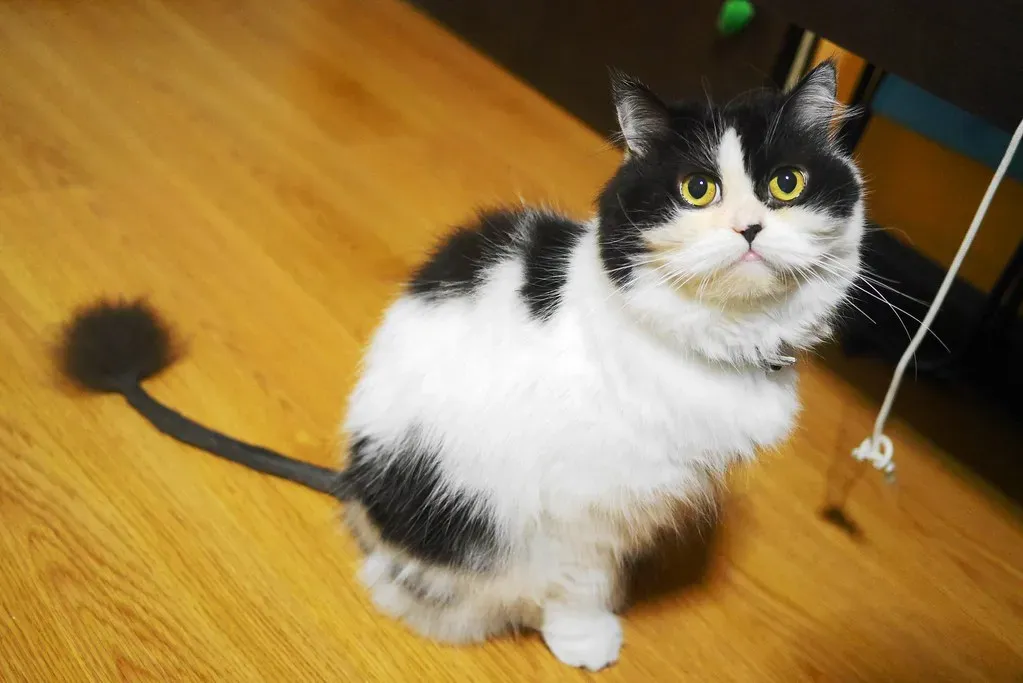 Conclusion (Image Credits: Flickr)