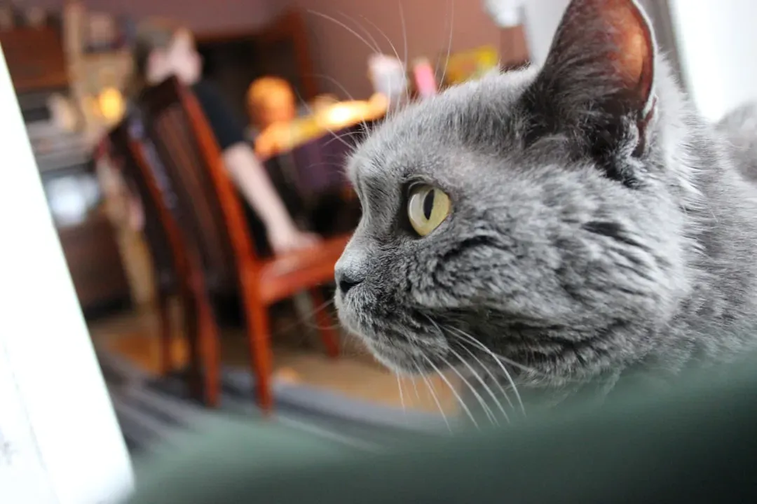 They're Watching Your Body Language Non-Stop (Image Credits: Unsplash)