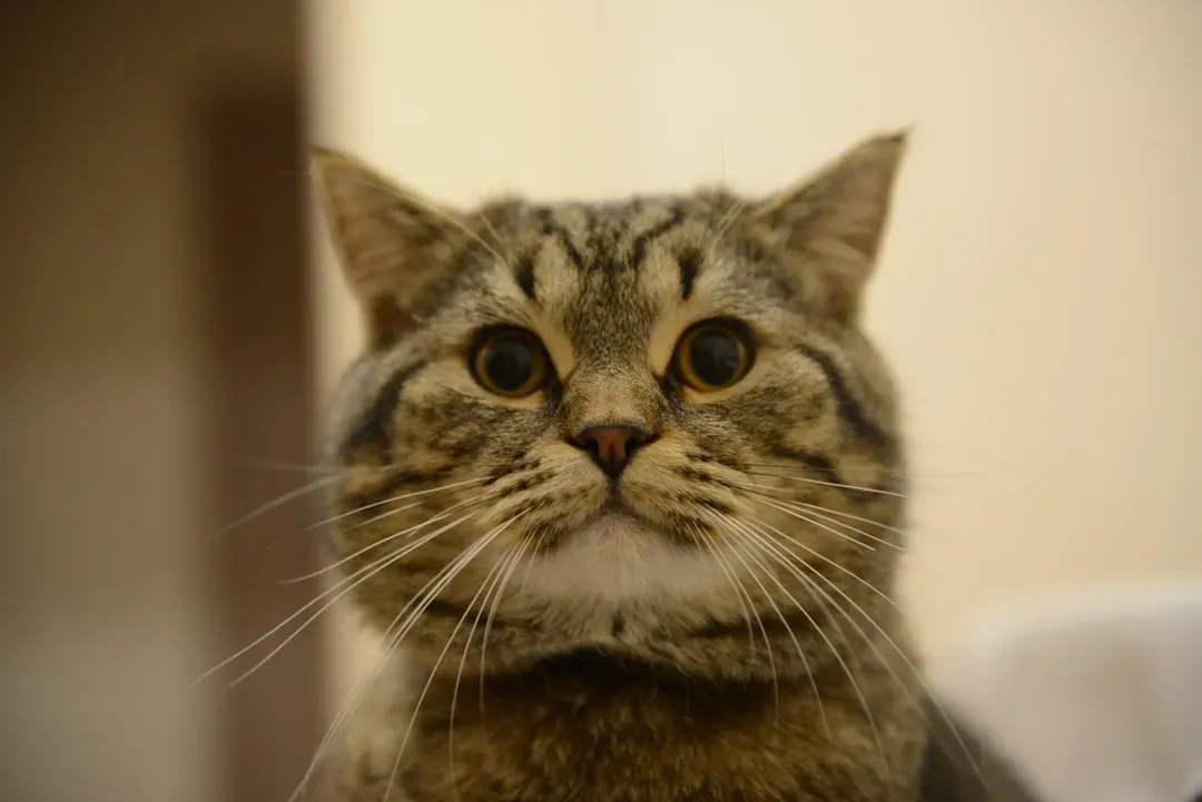 Mistake #6: Thinking a