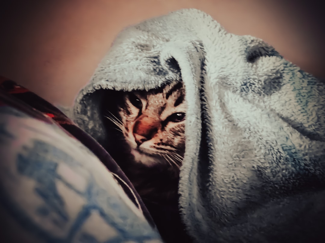 6. Sudden Temperature Changes - The Invisible Threat (Image Credits: Unsplash)