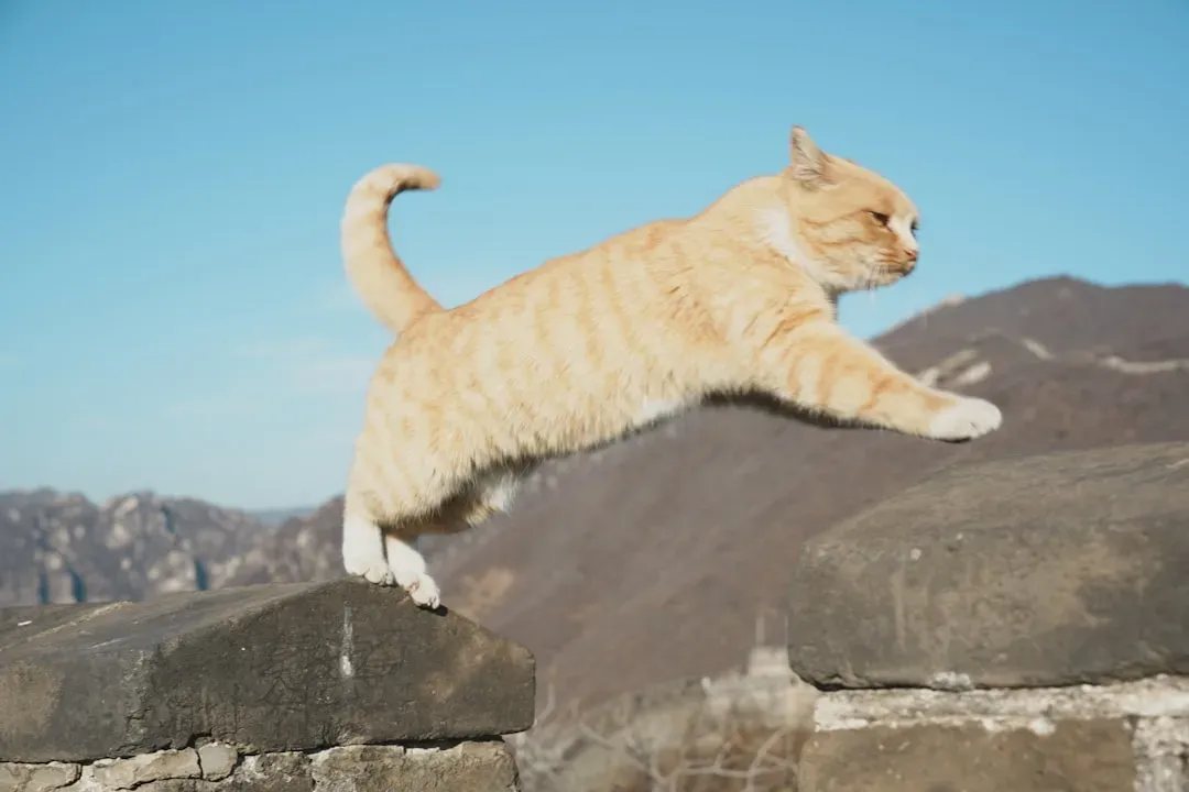 The Bend and Twist: How the Maneuver Actually Works (Image Credits: Unsplash)