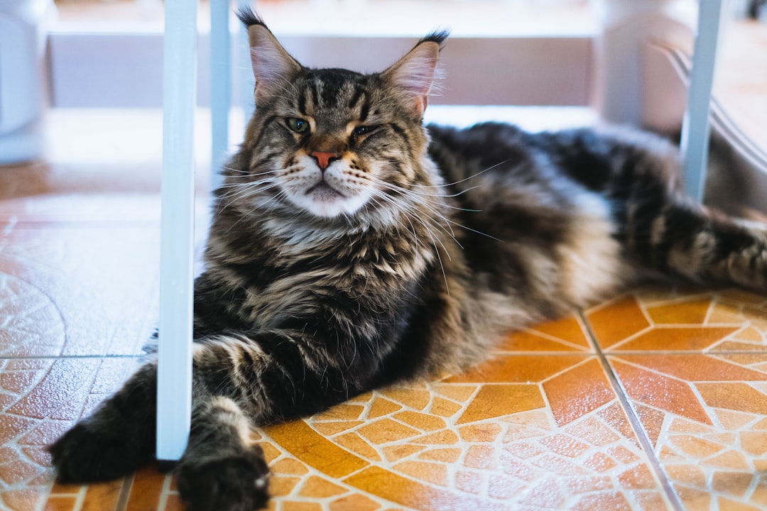 Up to 40% Were Born With Extra Toes (Image Credits: Unsplash)