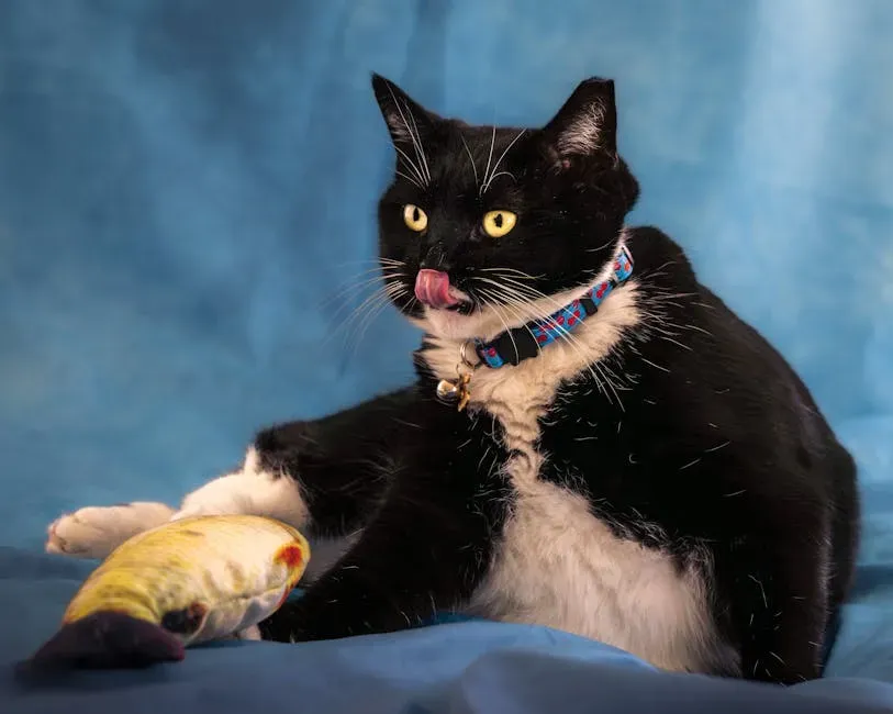 When Play Tips Into Compulsive Behavior (Image Credits: Pexels)